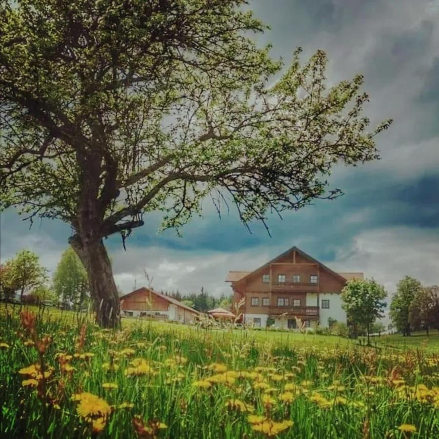 Biobauernhof Brandlhof Appartement Ramsau am Dachstein Buitenkant foto
