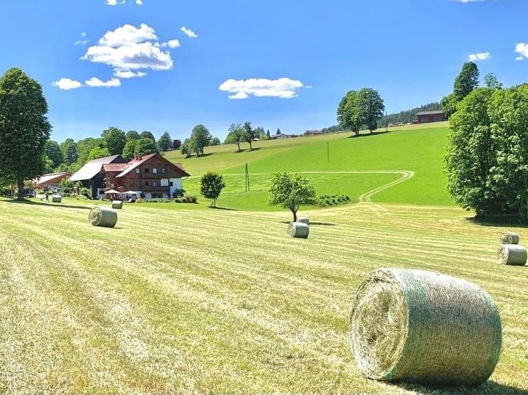 Biobauernhof Brandlhof Appartement Ramsau am Dachstein Buitenkant foto