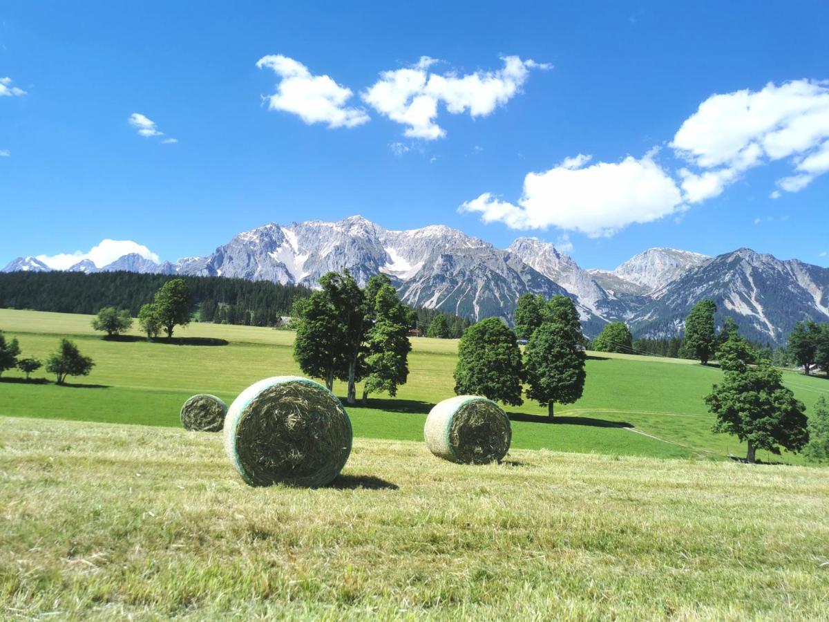 Biobauernhof Brandlhof Appartement Ramsau am Dachstein Buitenkant foto