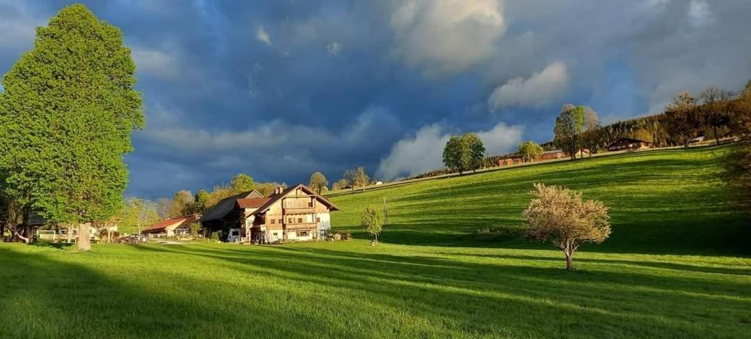 Biobauernhof Brandlhof Appartement Ramsau am Dachstein Buitenkant foto