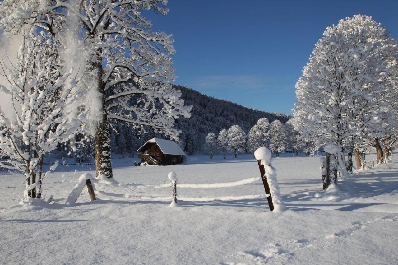 Biobauernhof Brandlhof Appartement Ramsau am Dachstein Buitenkant foto