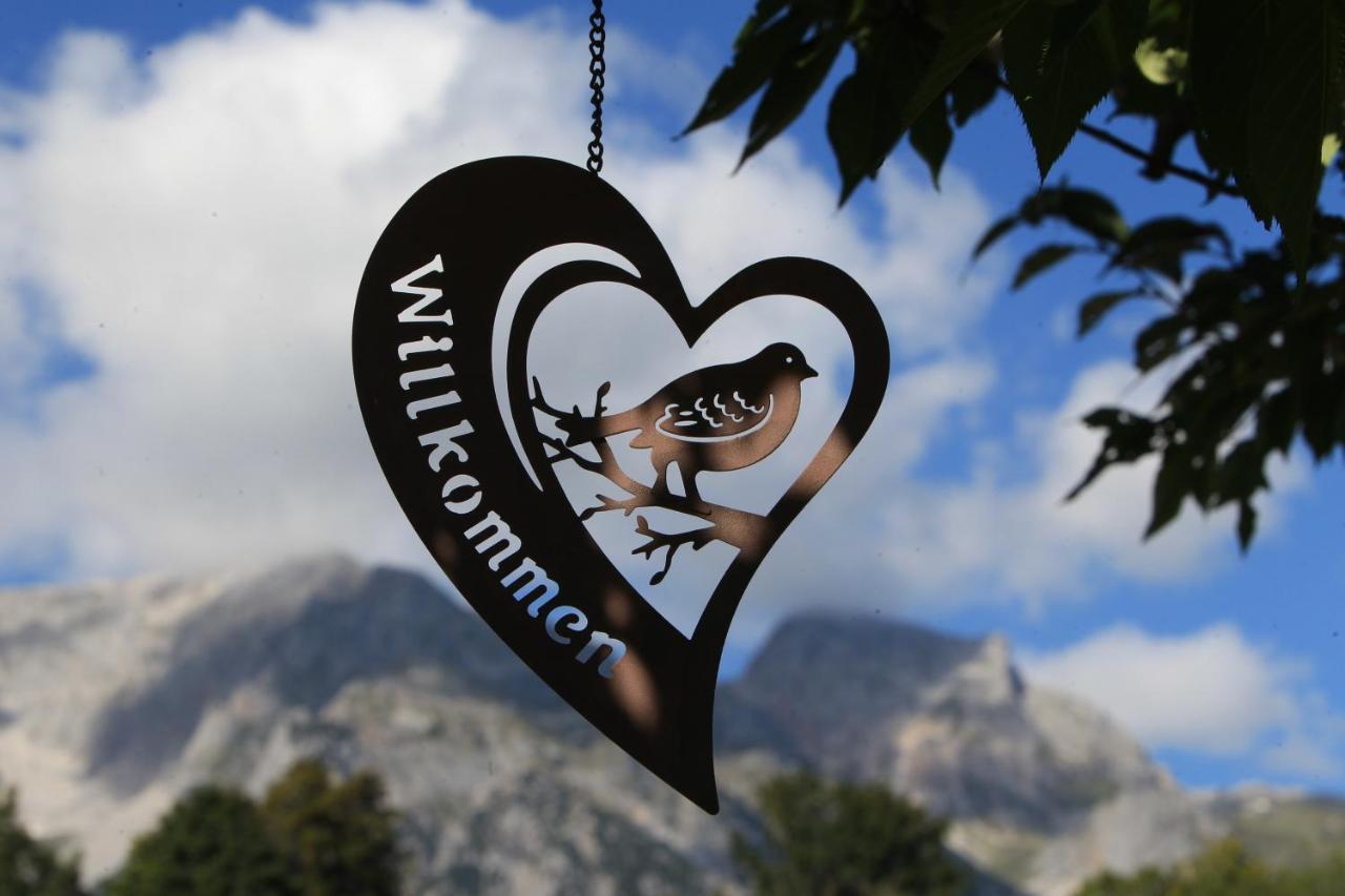 Biobauernhof Brandlhof Appartement Ramsau am Dachstein Buitenkant foto