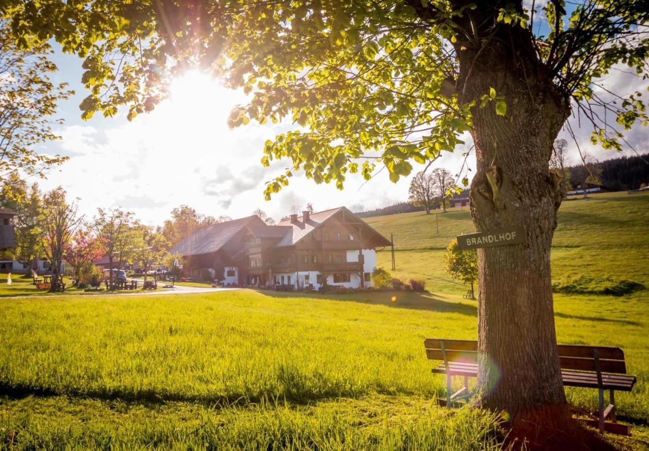 Biobauernhof Brandlhof Appartement Ramsau am Dachstein Buitenkant foto