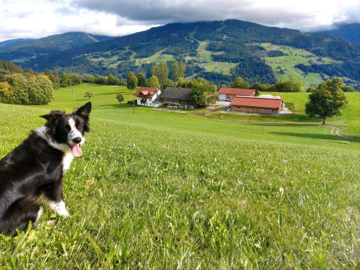 Biobauernhof Brandlhof Appartement Ramsau am Dachstein Buitenkant foto