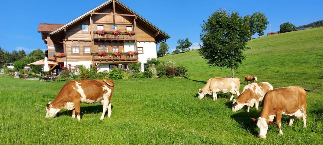 Biobauernhof Brandlhof Appartement Ramsau am Dachstein Buitenkant foto