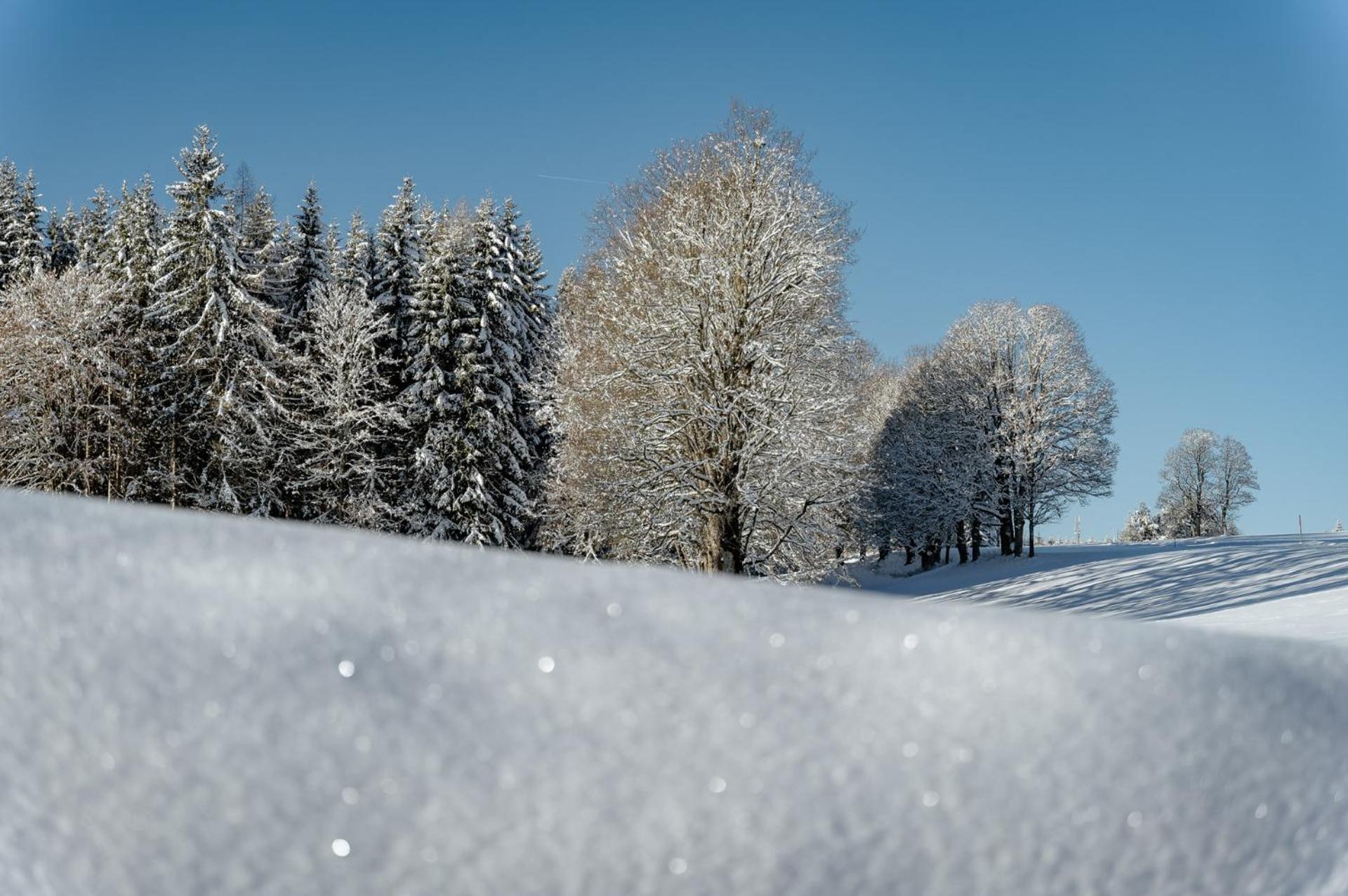Biobauernhof Brandlhof Appartement Ramsau am Dachstein Buitenkant foto