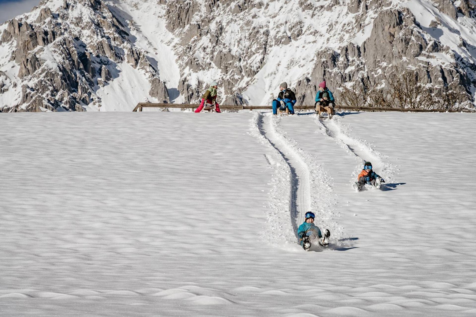 Biobauernhof Brandlhof Appartement Ramsau am Dachstein Buitenkant foto