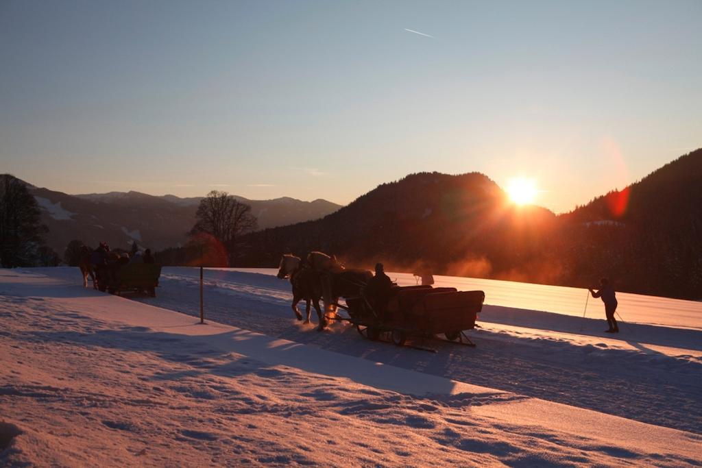 Biobauernhof Brandlhof Appartement Ramsau am Dachstein Buitenkant foto